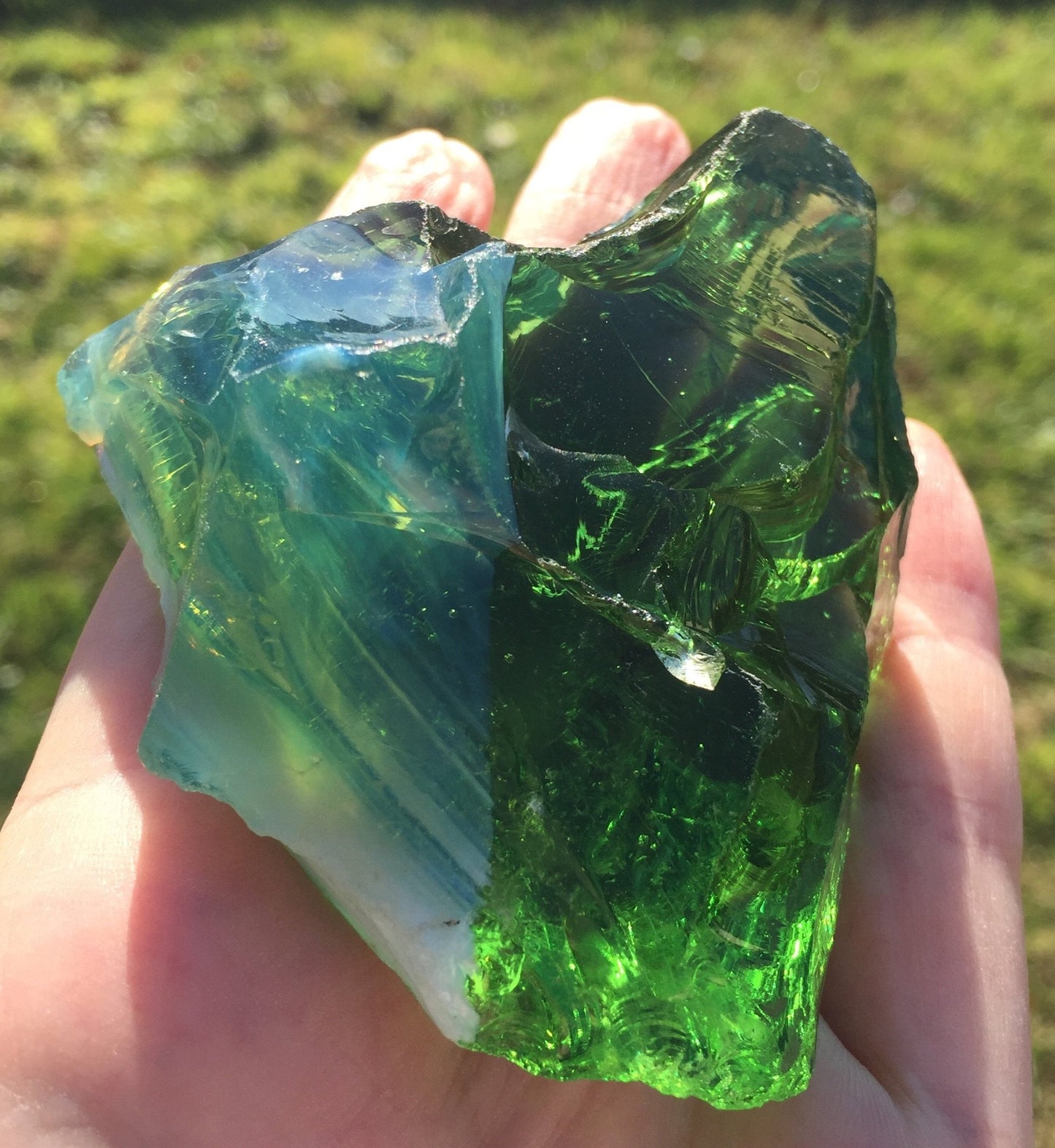 andara lemurie borealis