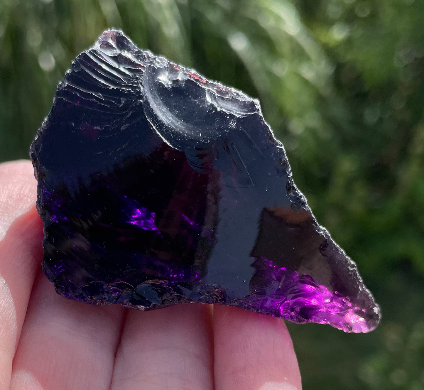 ANDARA Deep Purple Vindex