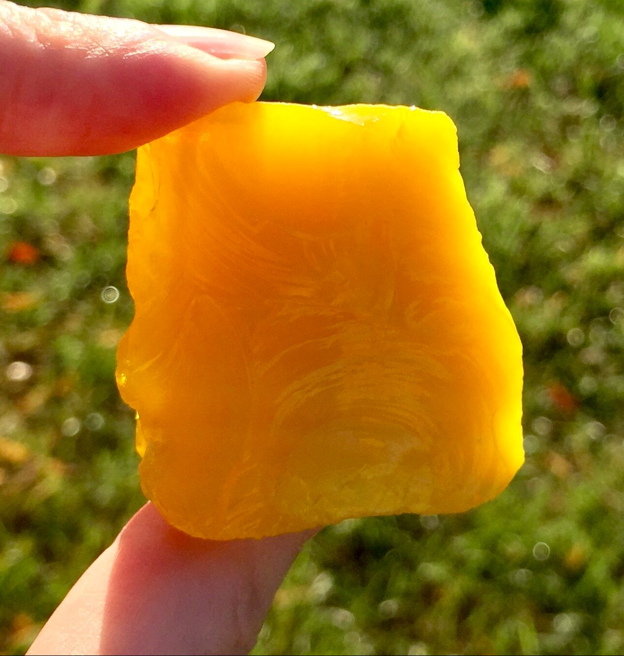 andara yellow jaune dragon