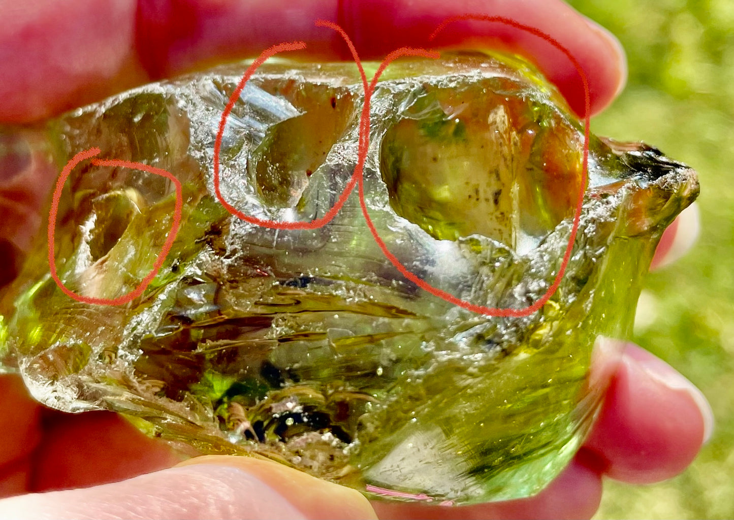 ANDARA Dragon de Merlin ~ 100 g