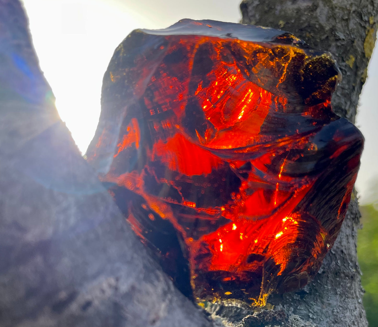 ANDARA• Brown Shaman~ 145 g