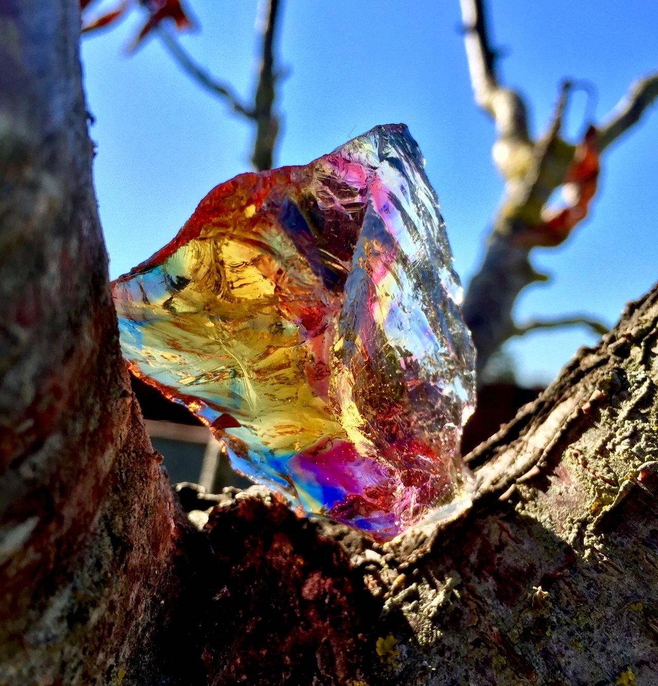 ANDARA đ Rainbow Bridge 44 g R2