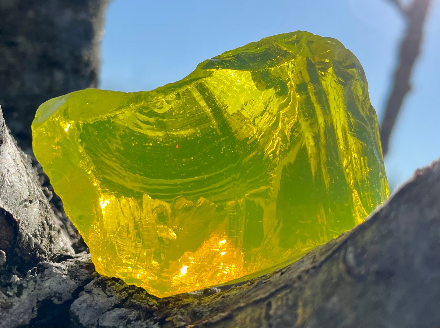ANDARA Dragon Jaune 44 g | Quantum ANDARA | R71