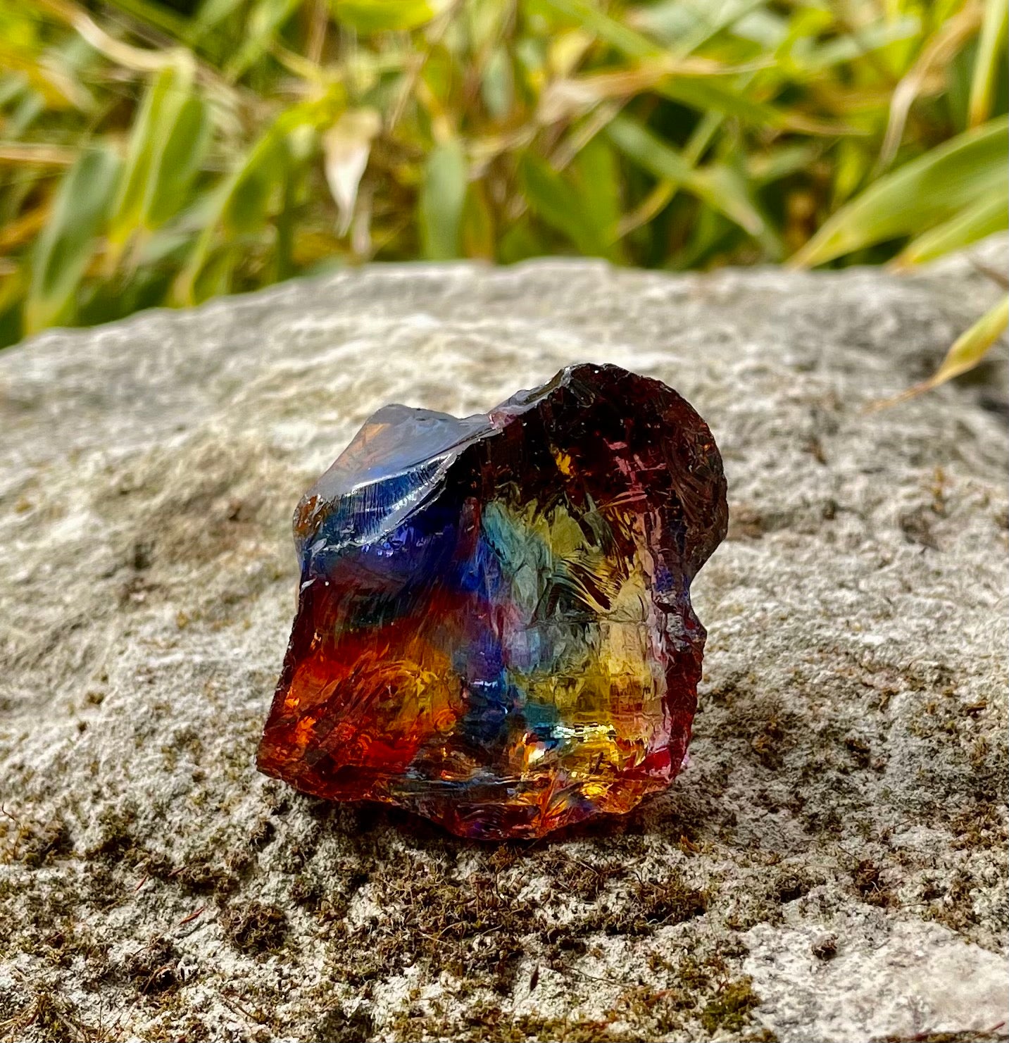 ANDARA Rainbow Warrior 38 g