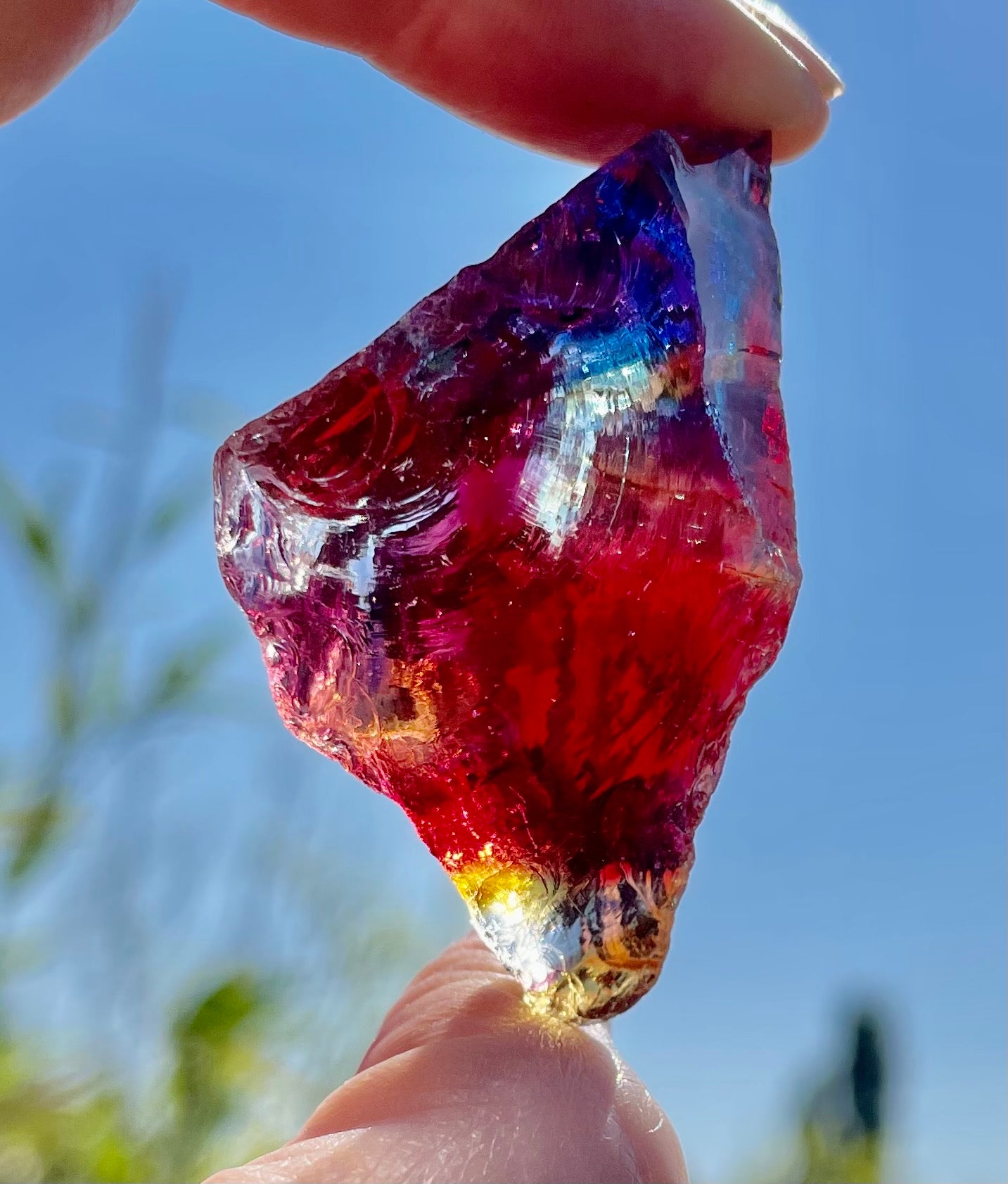 ANDARA Rainbow Warrior ~ 30 g