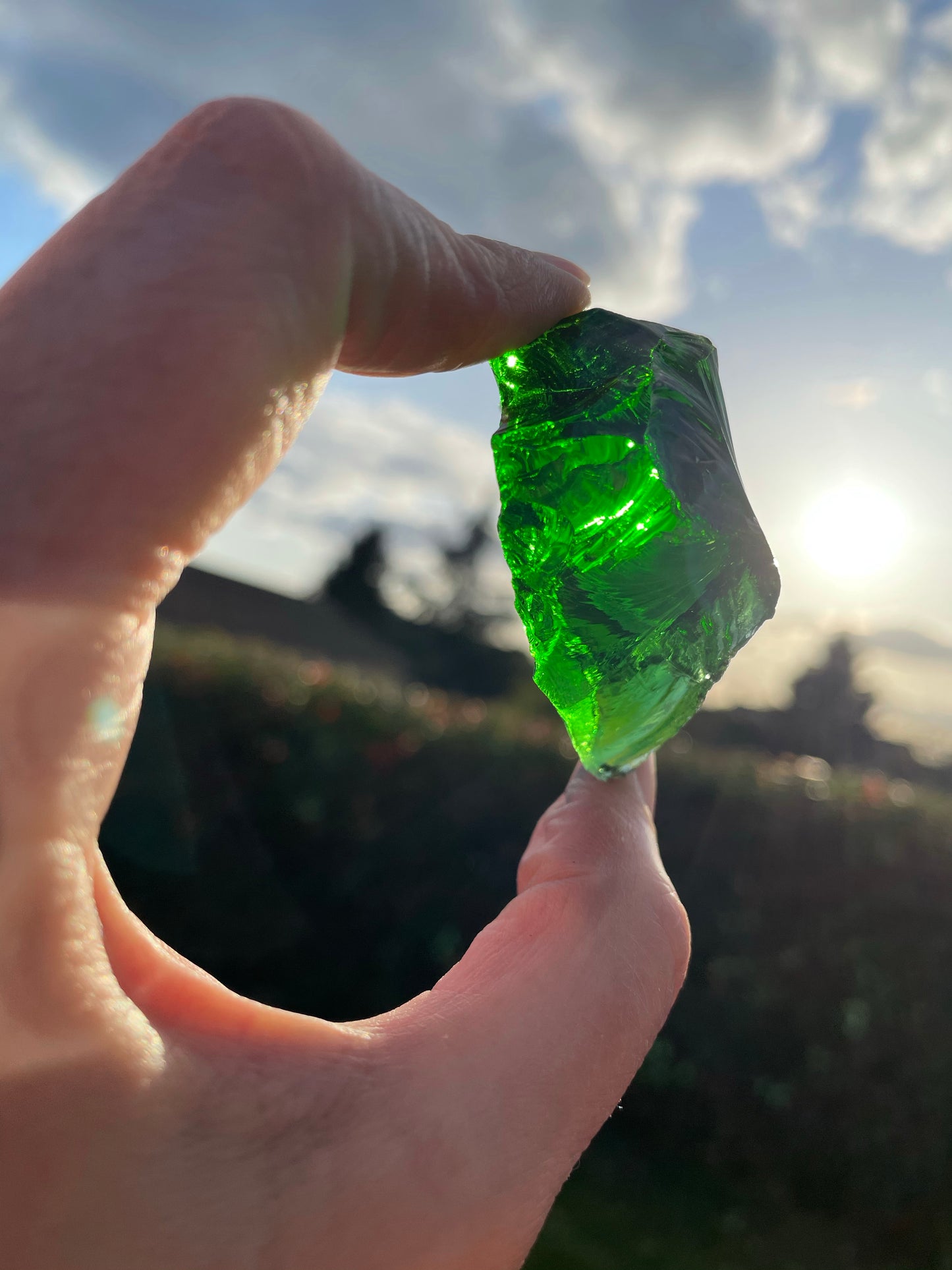 ANDARA Deep Forest 38 g