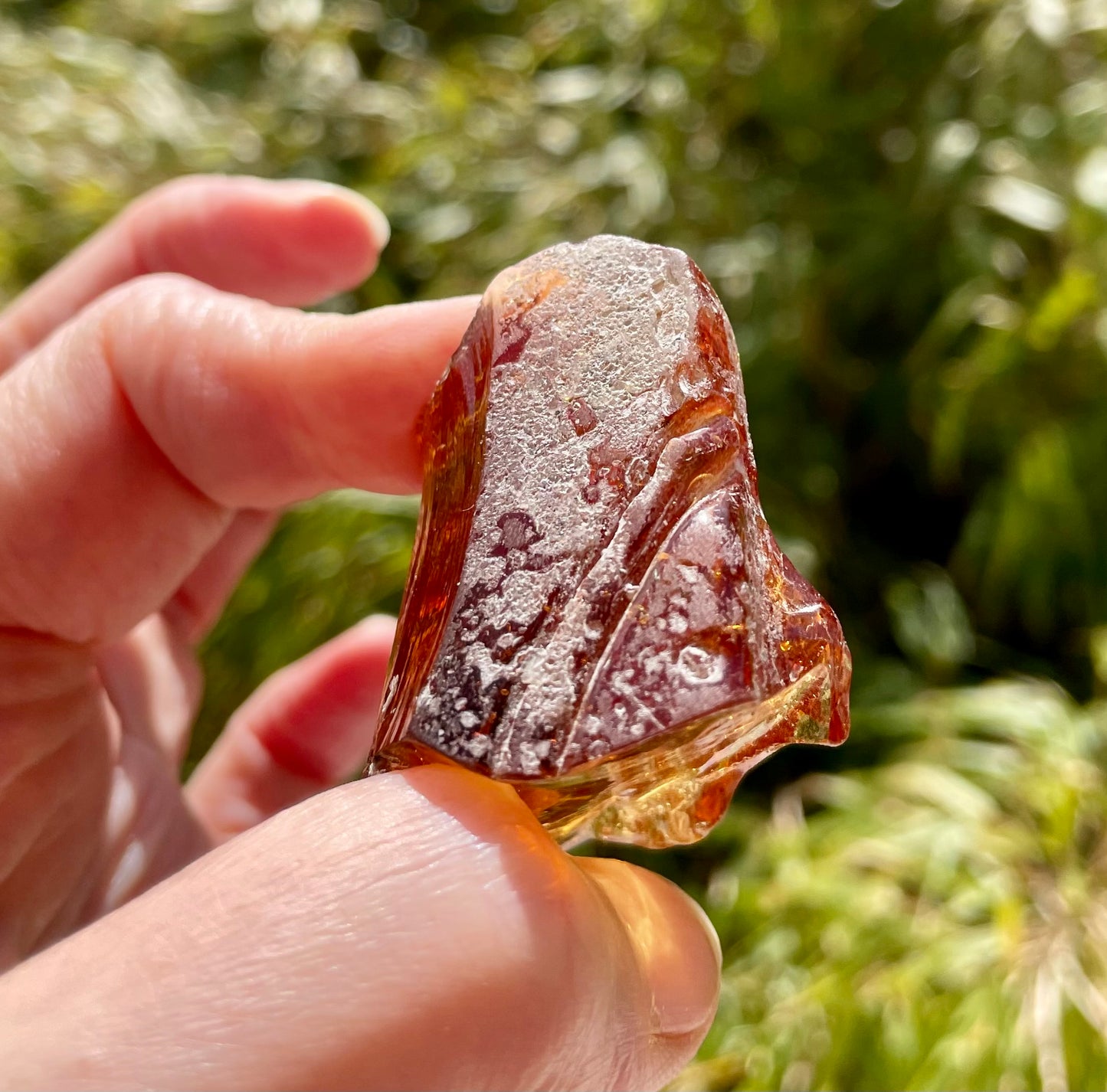 ANDARA Ambre de Lémurie 52 g