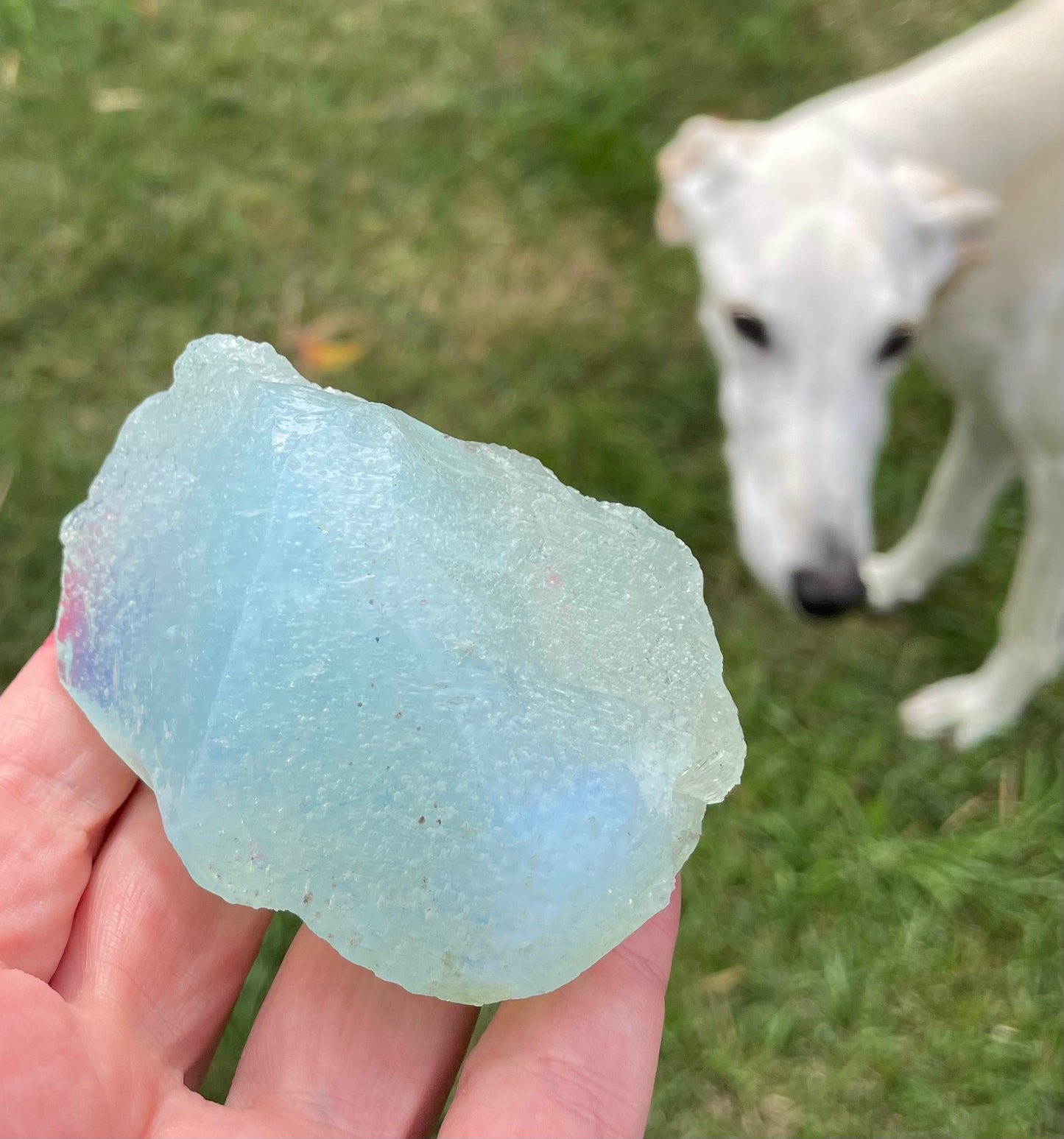 ANDARA• Diamant Cristallin SeaFoam : Lignée des origines 175 g | Cristaux quantiques 5D / REF 21