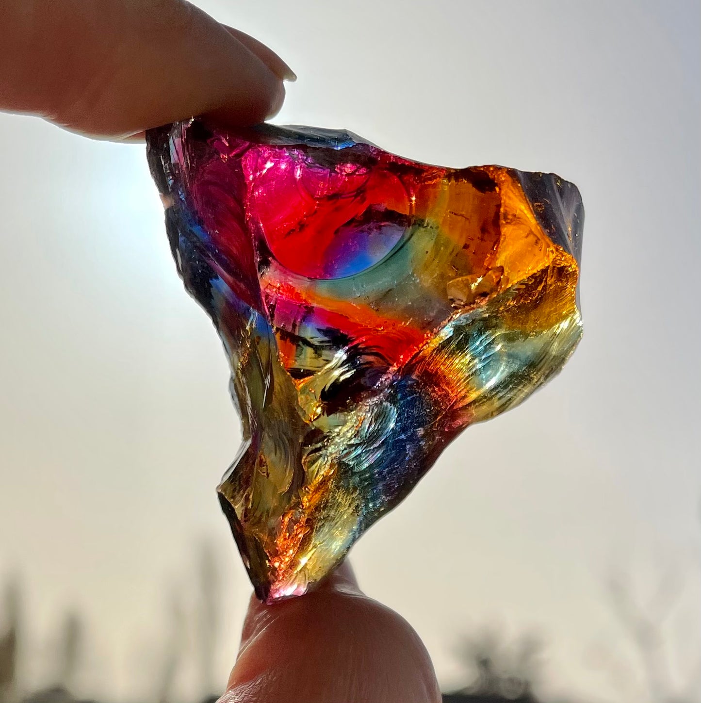 andara rainbow