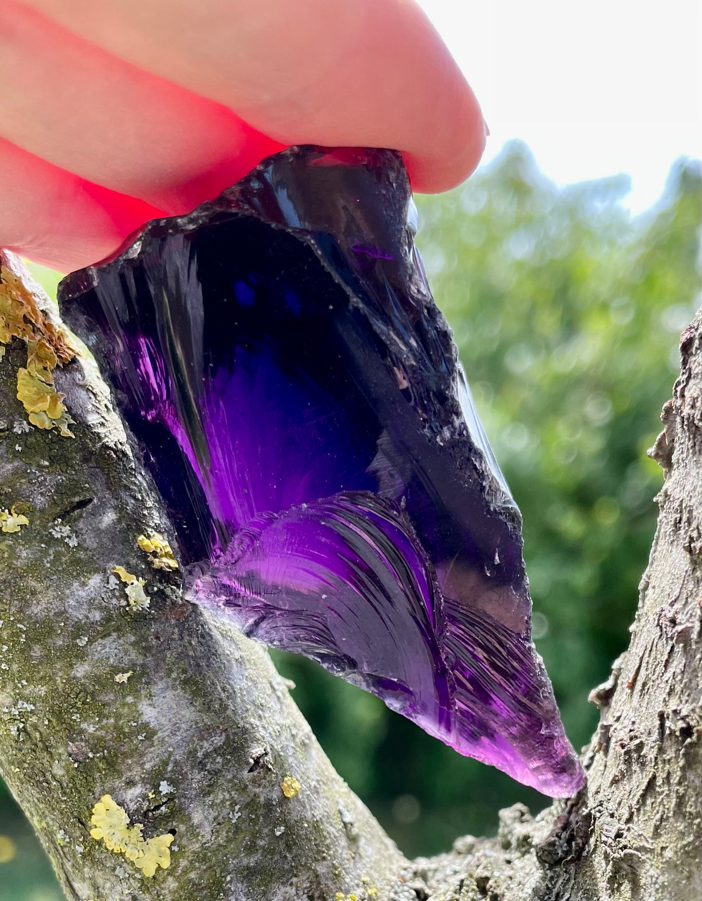 ANDARA Deep Purple Vindex