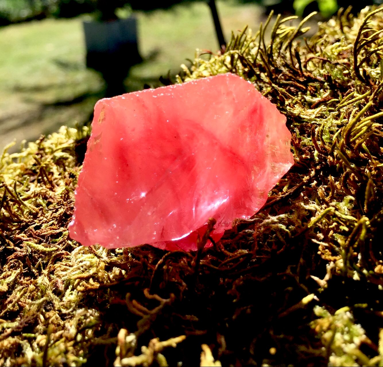 ANDARA Etherium Compassion de Rose 29 g