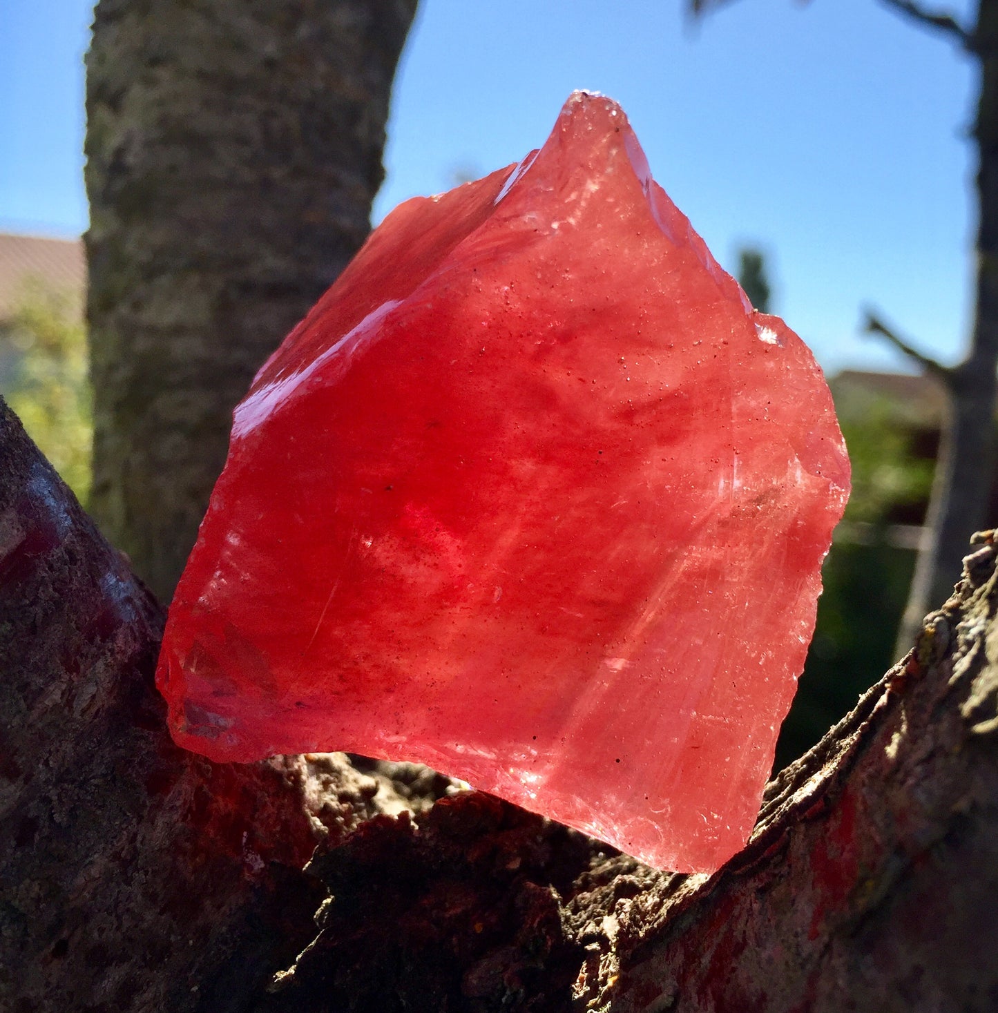 ANDARA Compassion de Rose 88 g