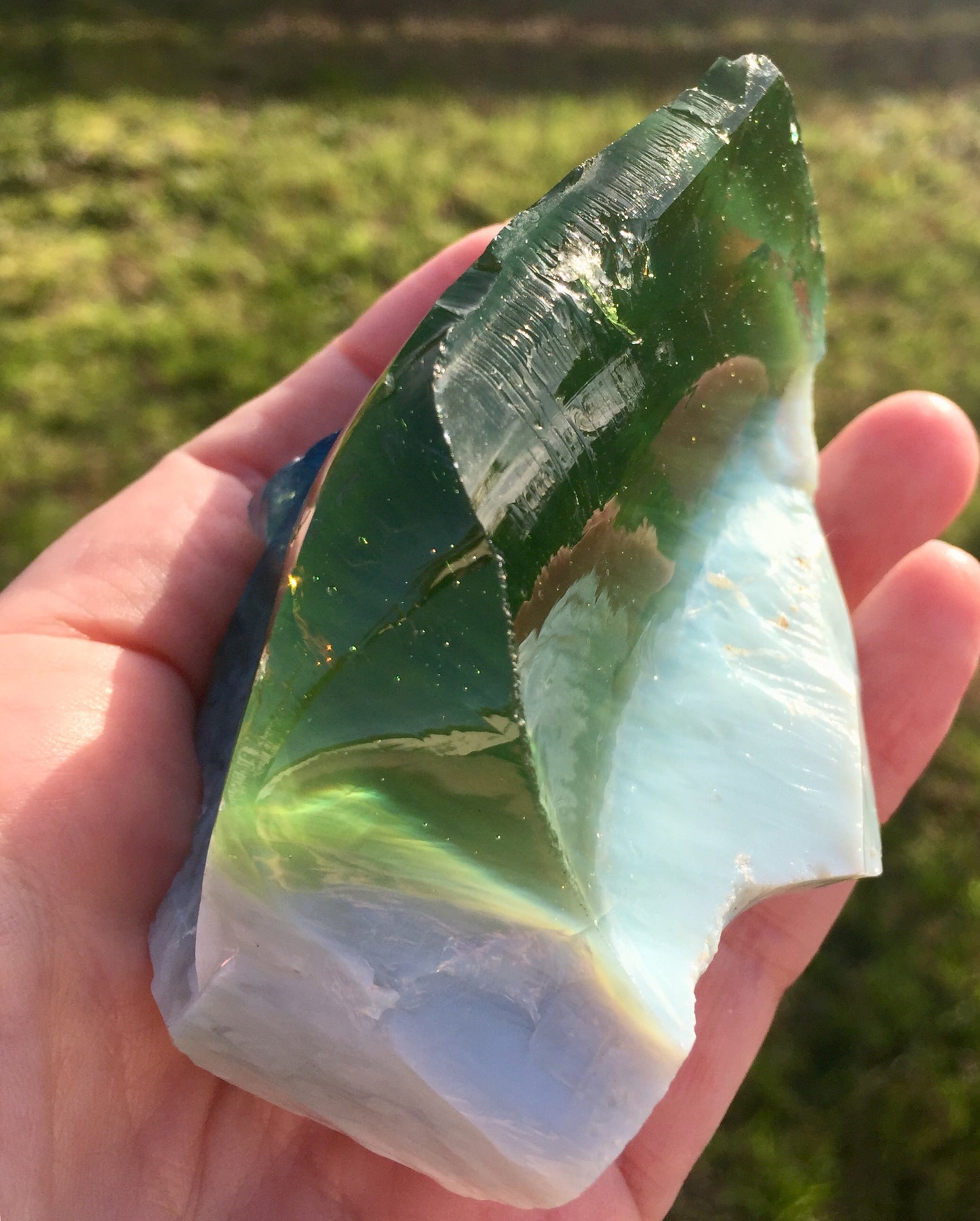 Rare ANDARA LéMUrie Boréale bicolore 295 g