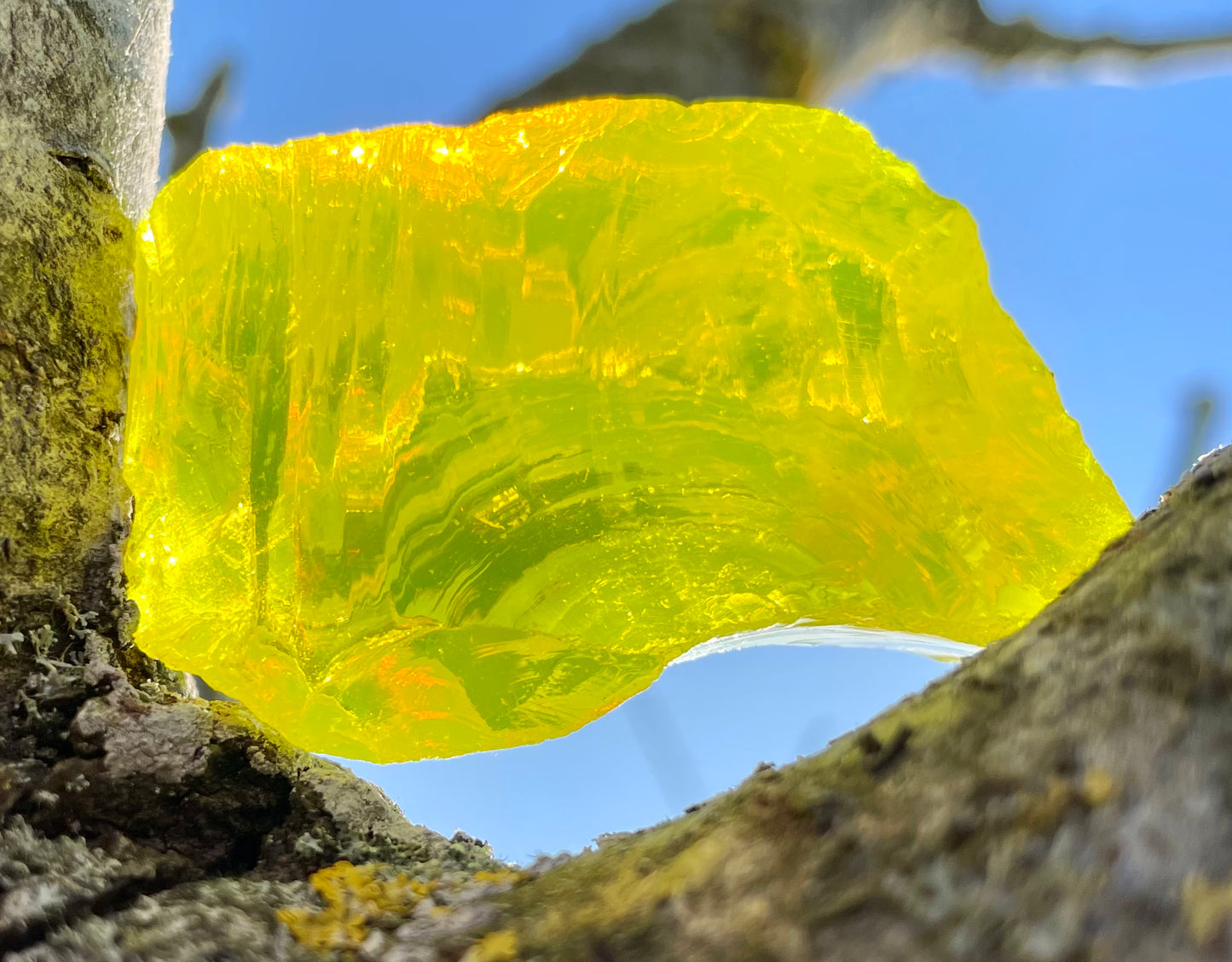 ANDARA Dragon Jaune 44 g | Quantum ANDARA | R71