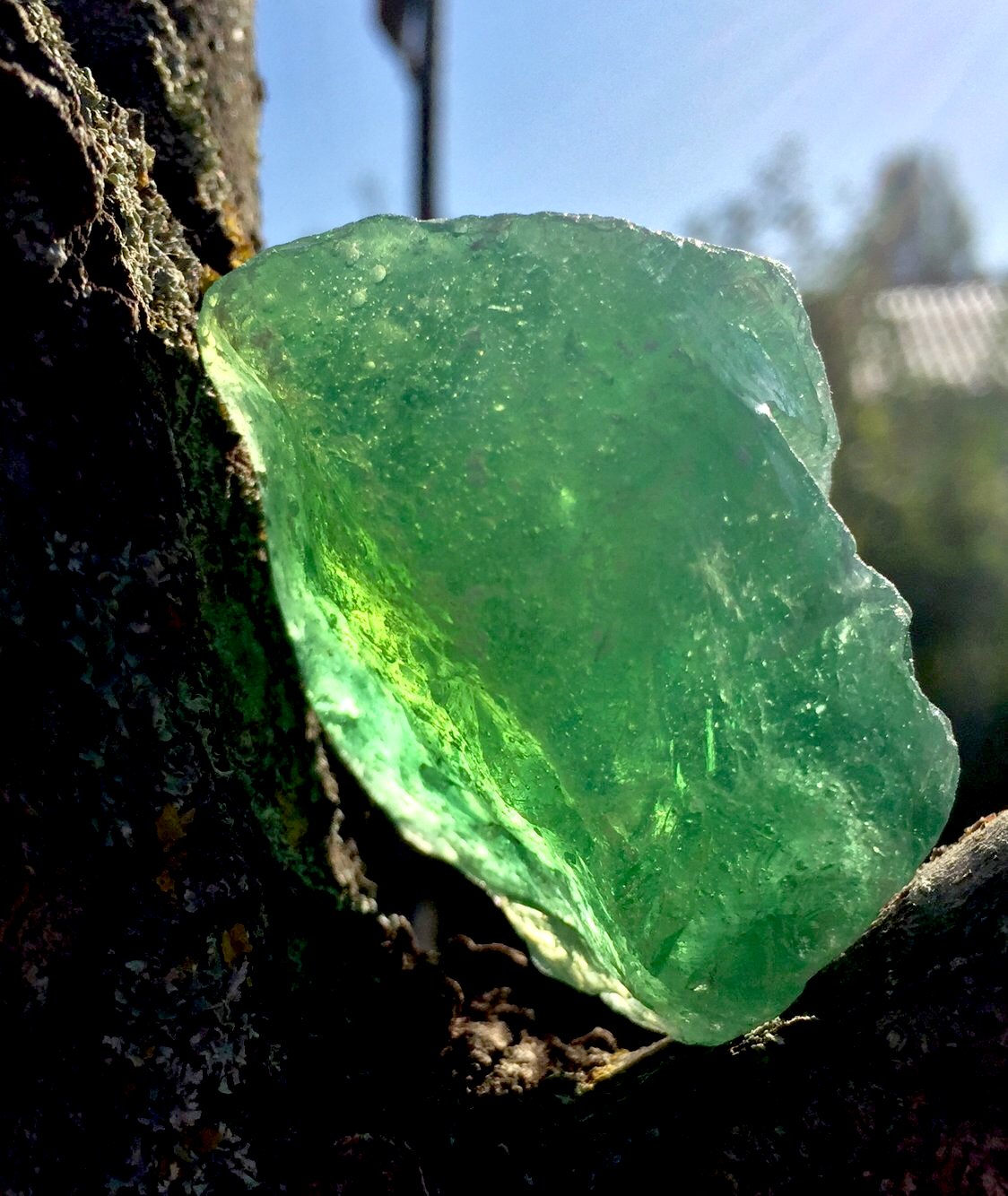 andara africain, crystal andara african seafoam
