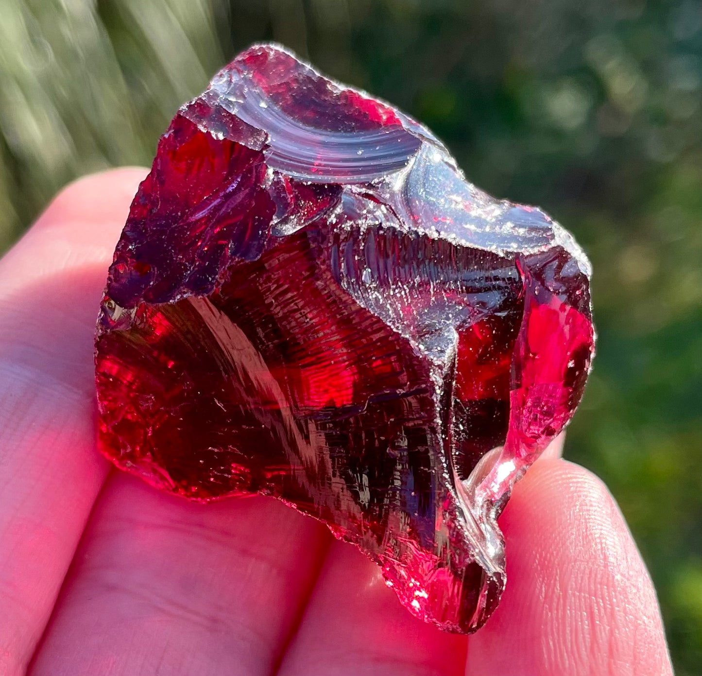 ANDARA Groseille des Lutins 34 g | Quantum ANDARA | R63