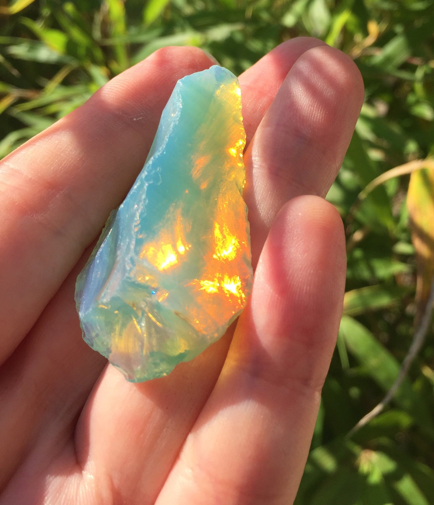 andara borealis lemuria