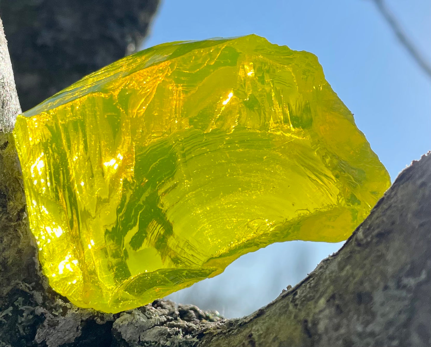 ANDARA Dragon Jaune 44 g | Quantum ANDARA | R71