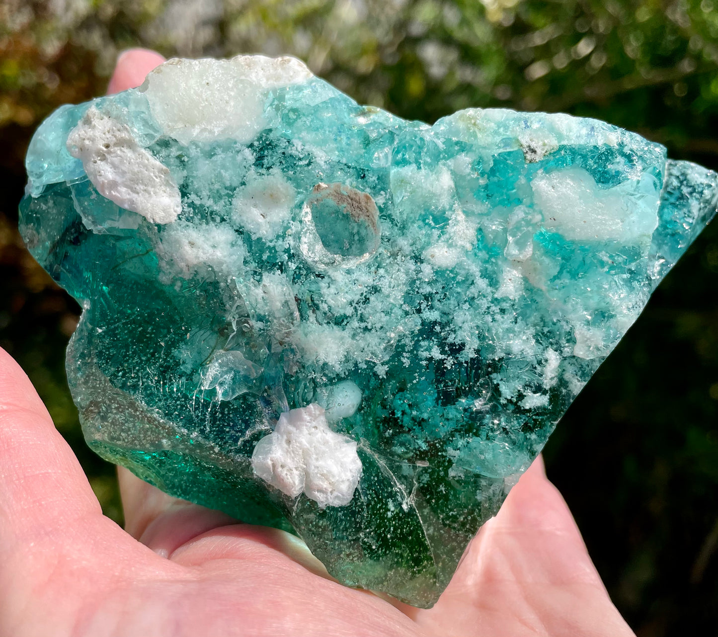 ANDARA ALTAR Terre australe 742 g