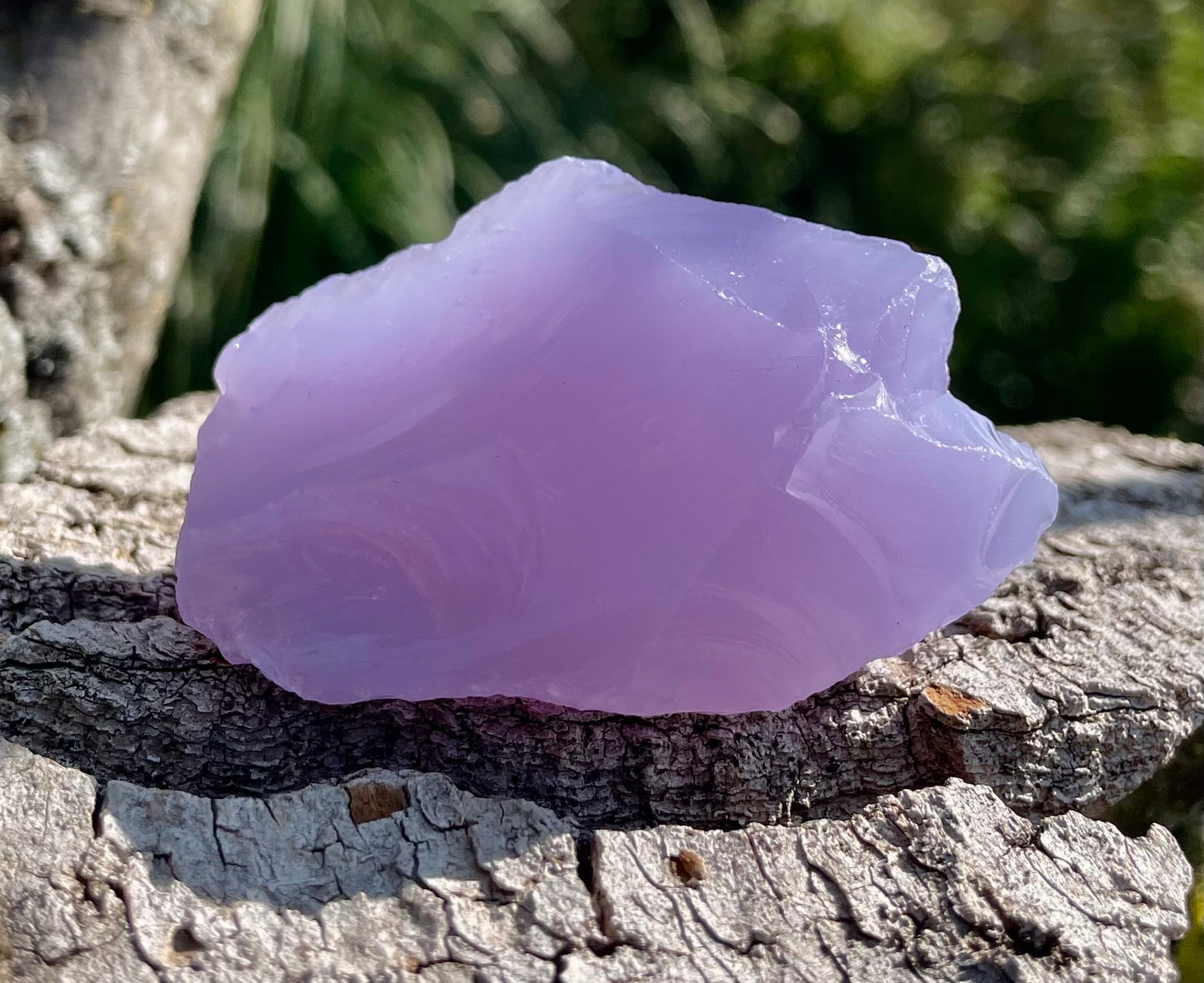 andara shekinah mauve lilac