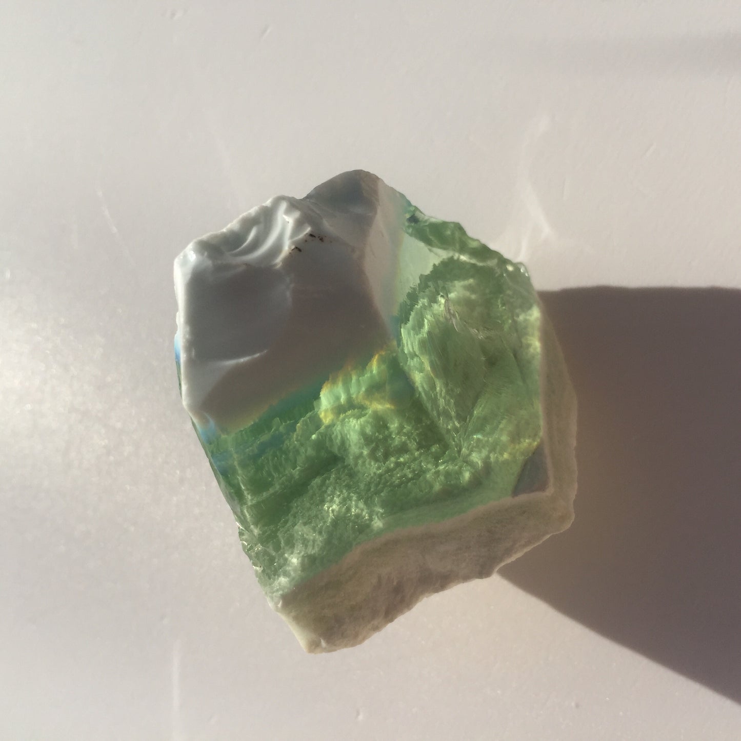 ANDARA rare atypique tricolore 56 g | RA1