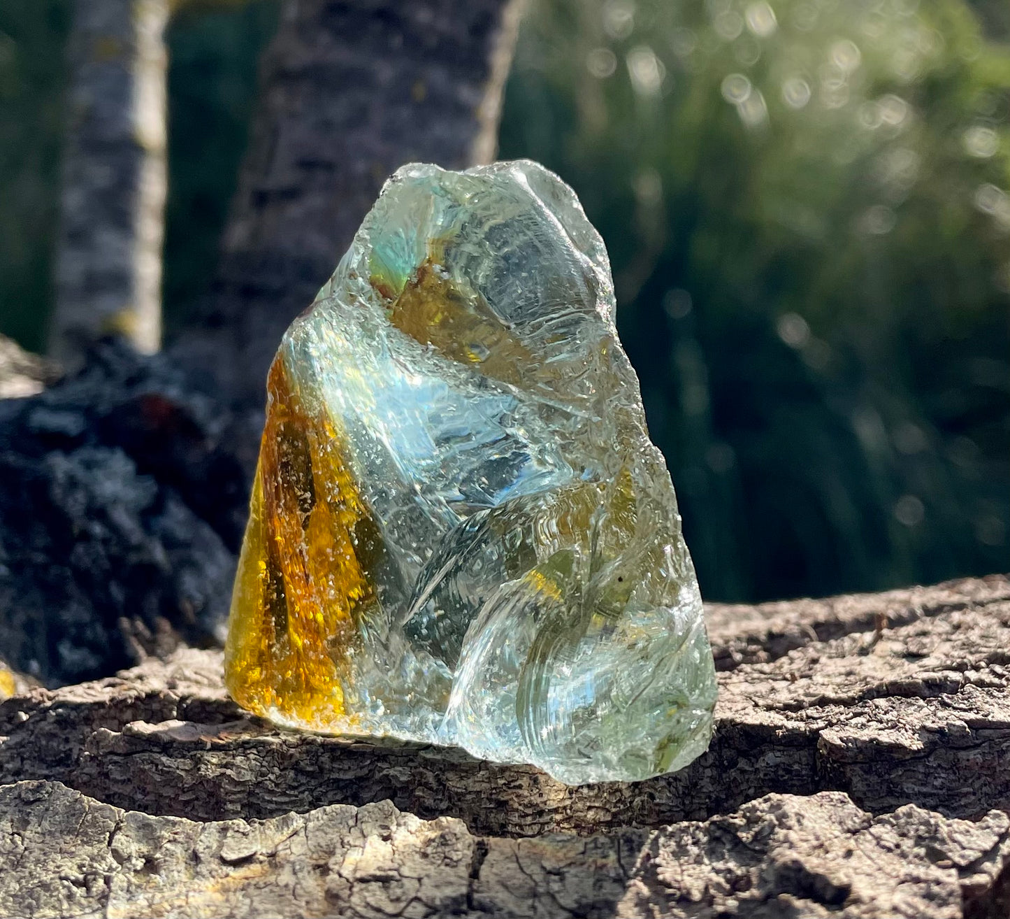 Rare ANDARA• Gaïa Chamane 95 g