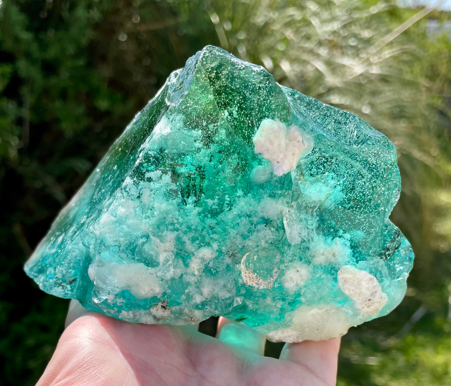 ANDARA ALTAR Terre australe 742 g