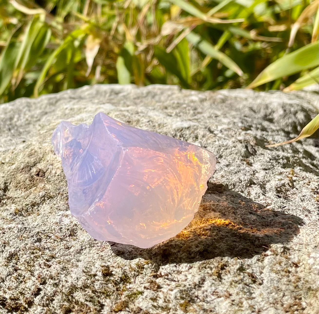 ANDARA Shekina rose 38 g