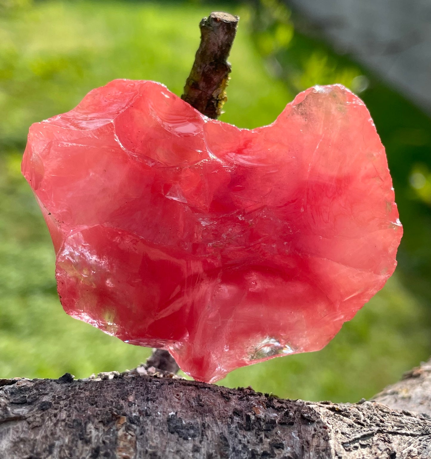 ANDARA Compassion de rose ~ 55 g / REF 5 - Quantum ANDARA 5D