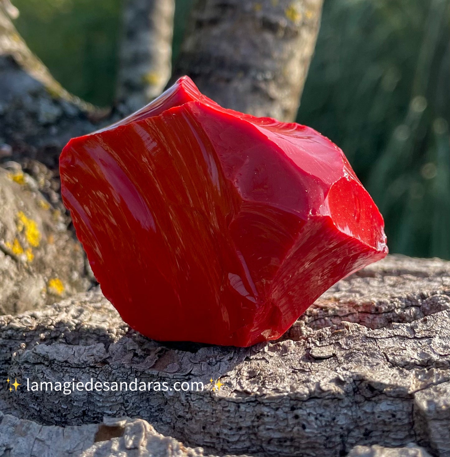 ANDARA Sang de Dragon 55 g ~ Rare