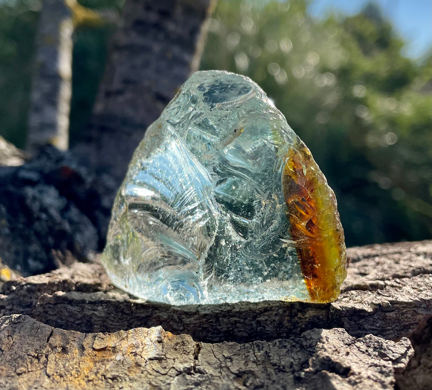 Rare ANDARA• Gaïa Chamane 95 g