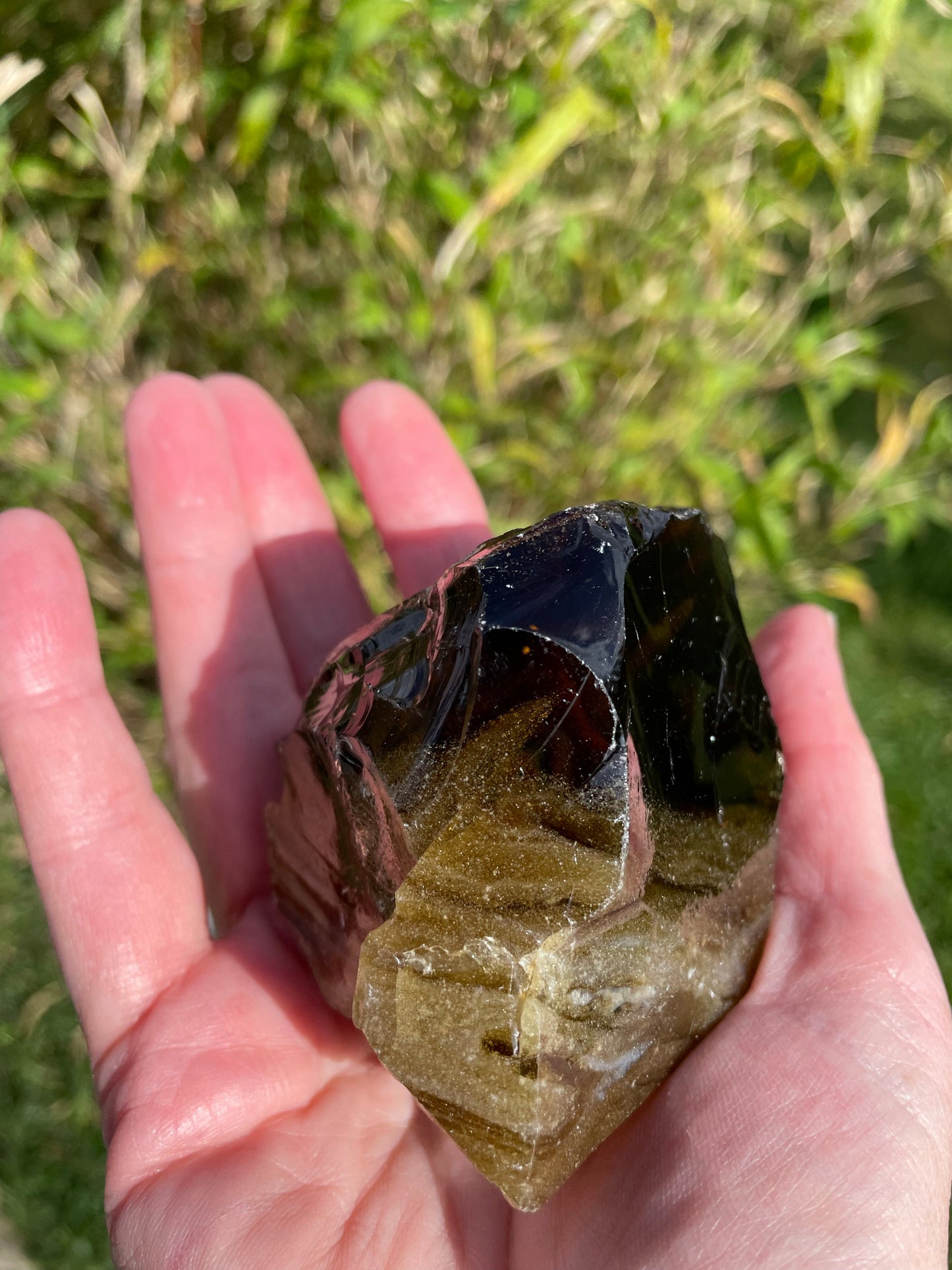 ANDARA Brown Shaman SeaFoam 313 g