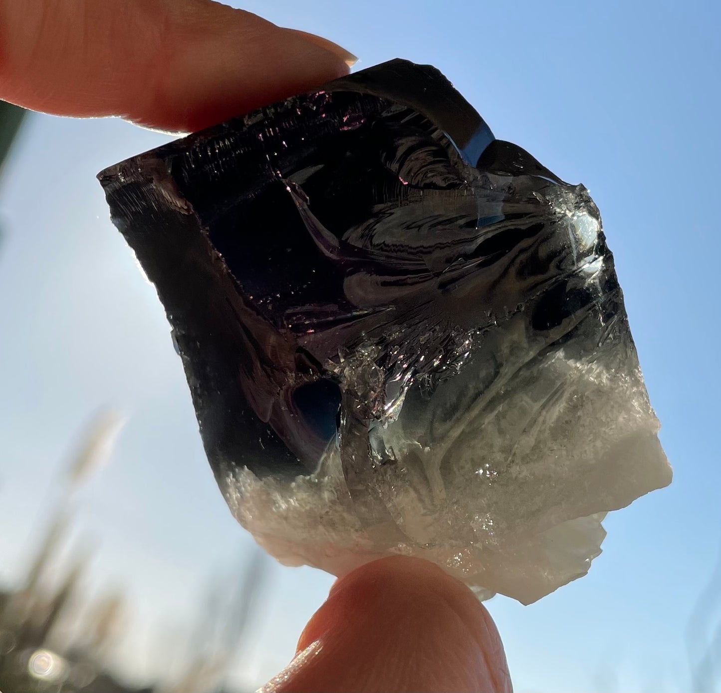 ANDARA Irridium Black Purple Chamane 100 g