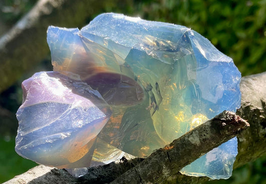 Les Andaras, compagnons de Présence / Novembre 2025