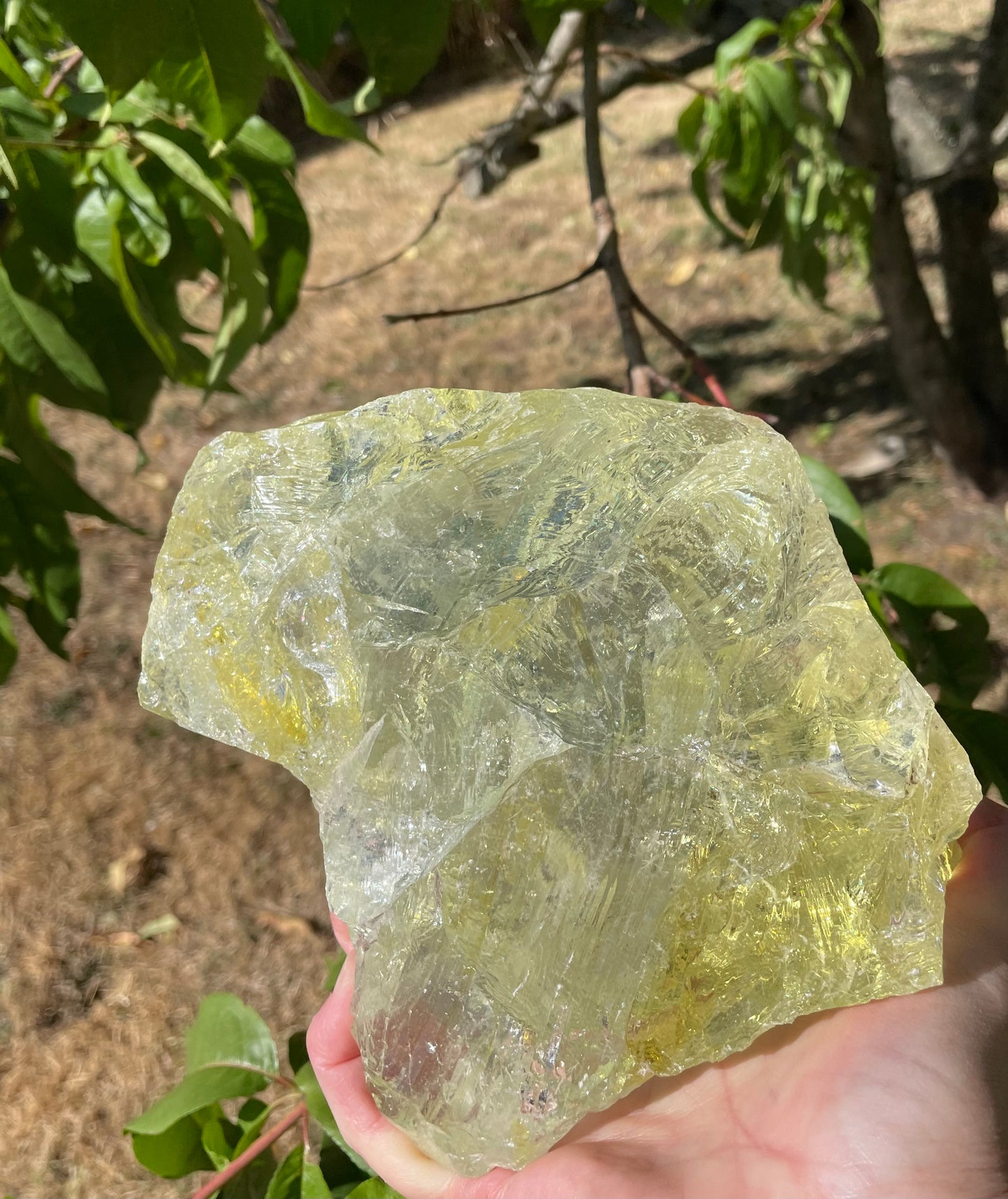 ANDARA Altar Elfique Yellow ~ 3.044 kg | Collection personnelle