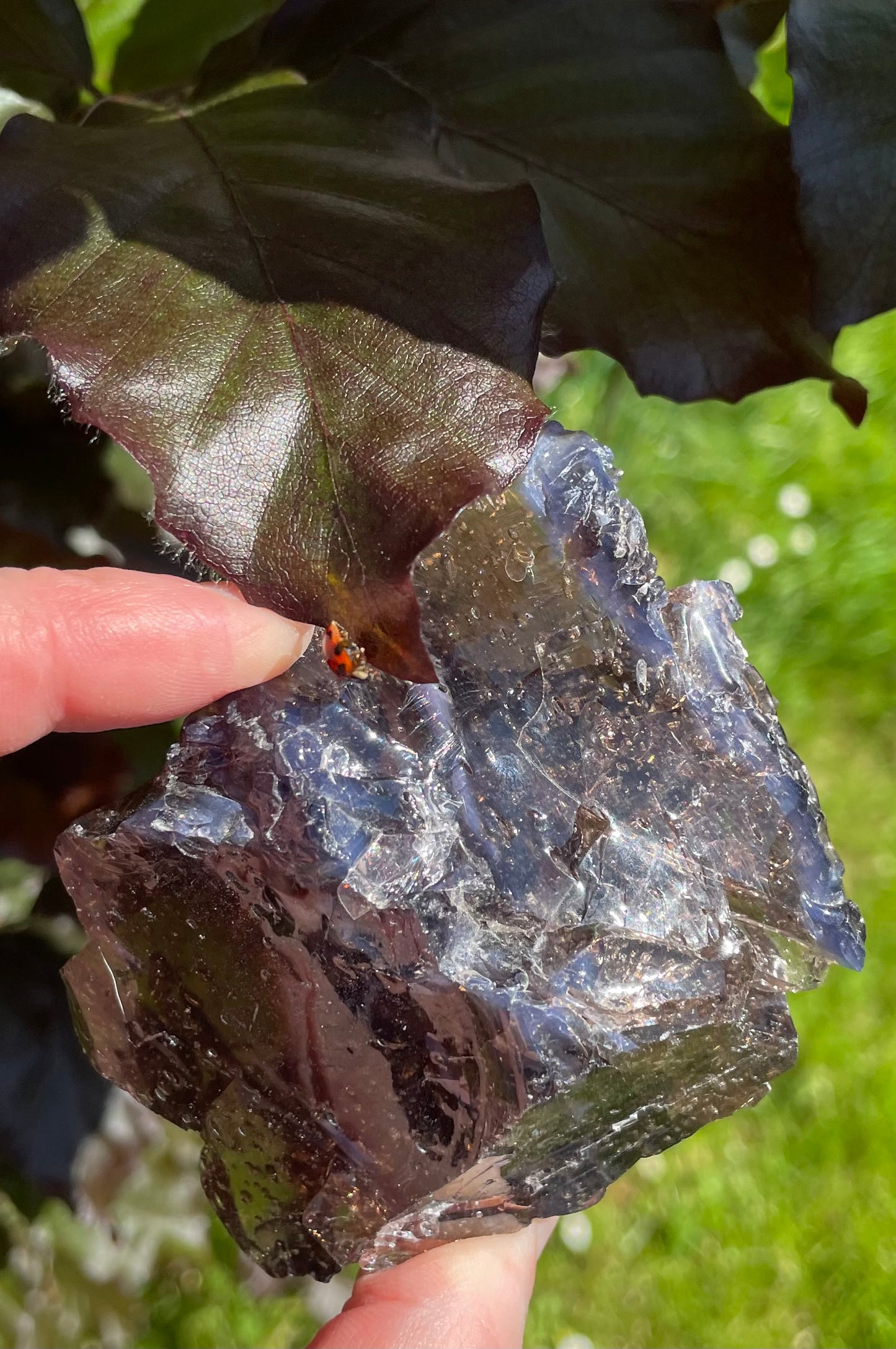 ANDARA Français ~ Gardien du passage  | 207 g  / 777 cristal 5D •