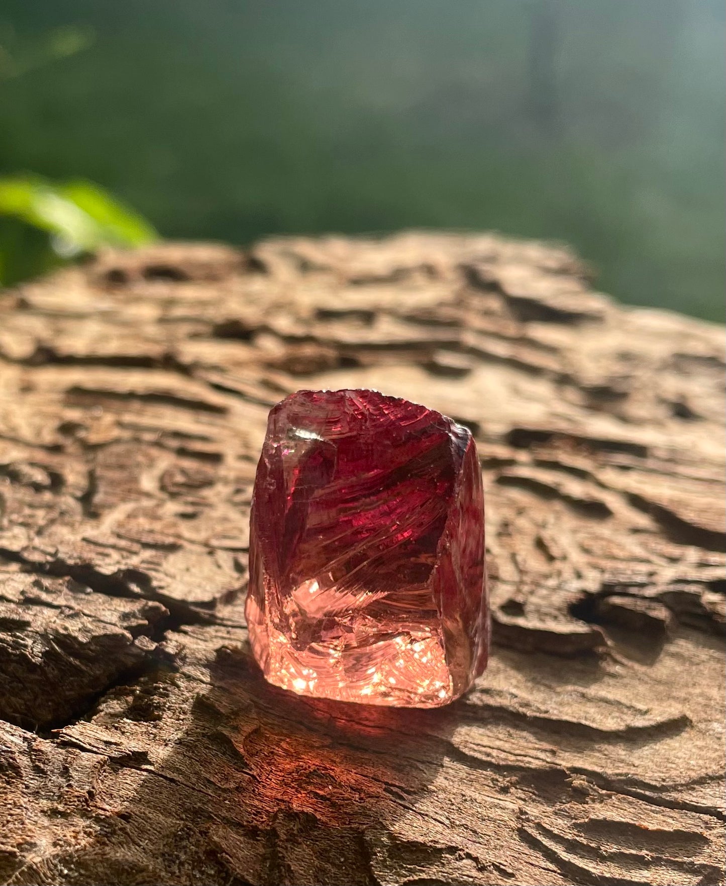 Baby ANDARA cendres de Rose • 15 g | premiers pas