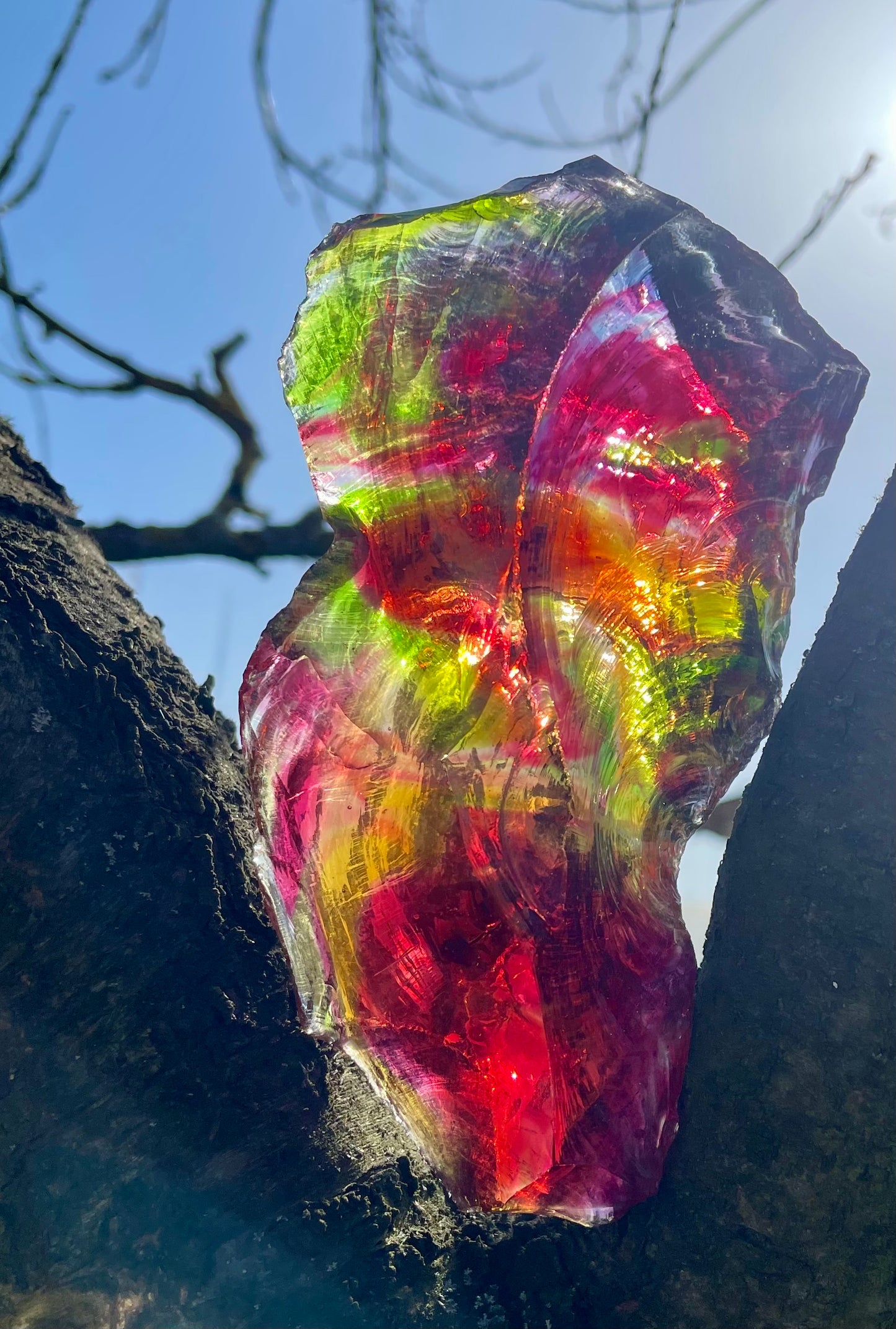 ANDARA Rainbow Warrior ~ 505 g | Collection personnelle