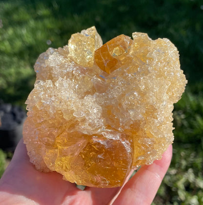 ANDARA Soleil de LeMUria  ~ 495 g | Collection personnelle