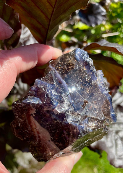 ANDARA Français ~ Gardien du passage  | 207 g  / 777 cristal 5D •