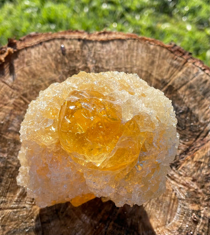 ANDARA Soleil de LeMUria  ~ 495 g | Collection personnelle