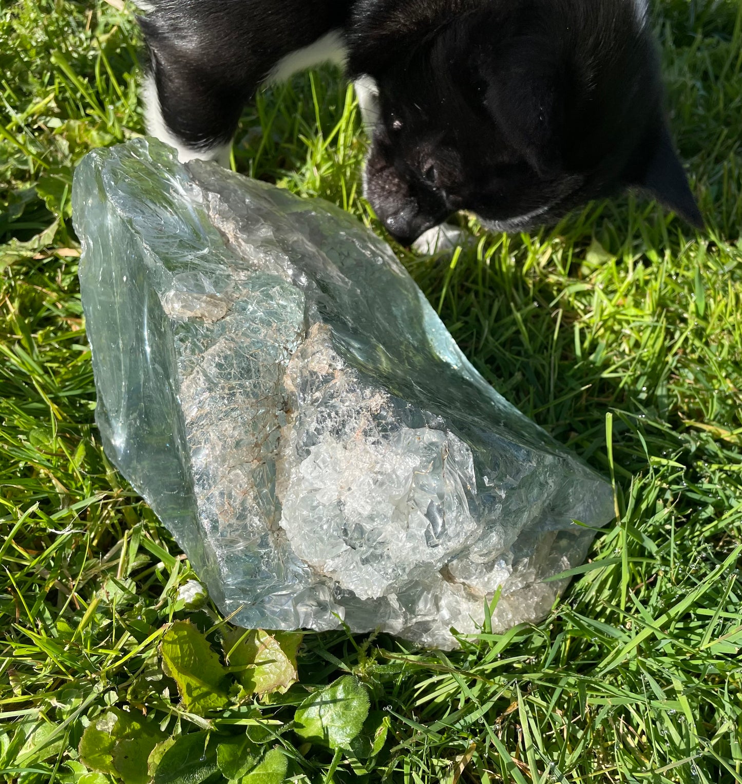 Me contacter... ANDARA Altar Platinium  ~ 3635 g | Tarif préférentiel Travailleur de la Lumière