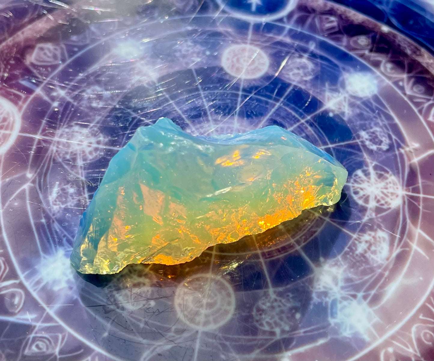 Baby ANDARA Lignée des origines 15 g