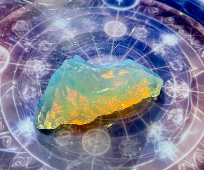 Baby ANDARA Lignée des origines 15 g