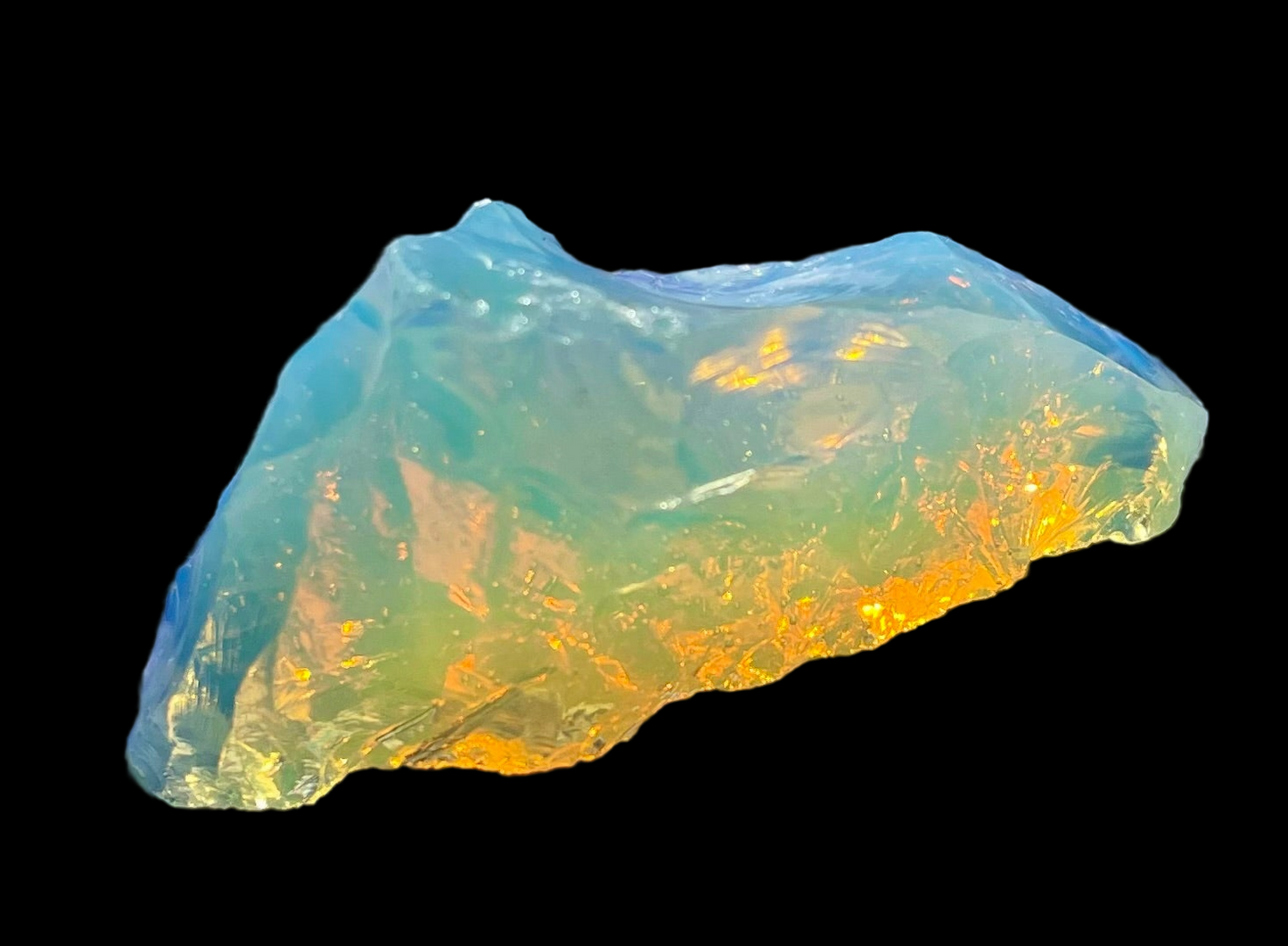 Baby ANDARA Lignée des origines 15 g