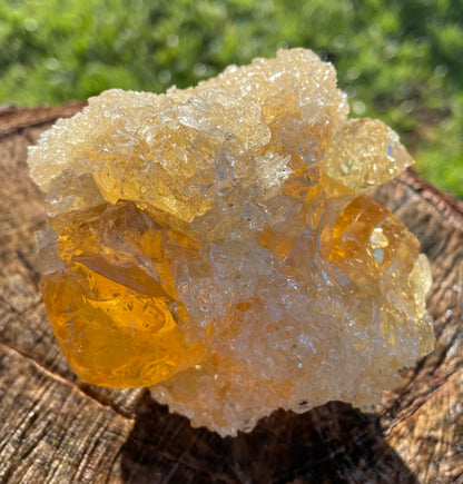 ANDARA Soleil de LeMUria  ~ 495 g | Collection personnelle