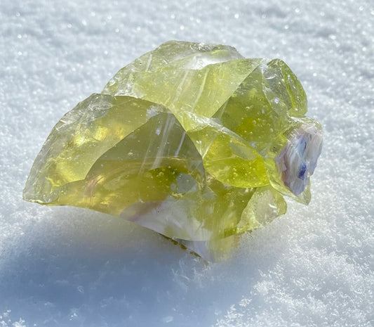 ANDARA Eglantine ~ 848 g | Collection personnelle