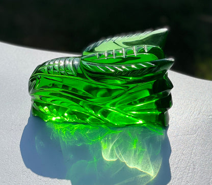 Crâne de Dragon ANDARA - 405 g |Collection perso