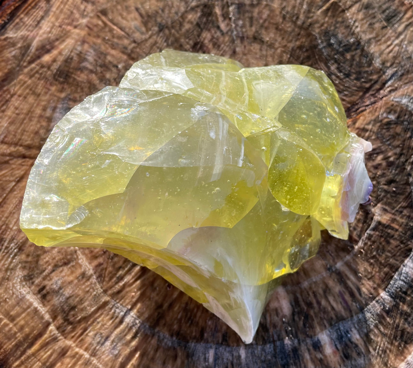 ANDARA Eglantine ~ 848 g | Collection personnelle