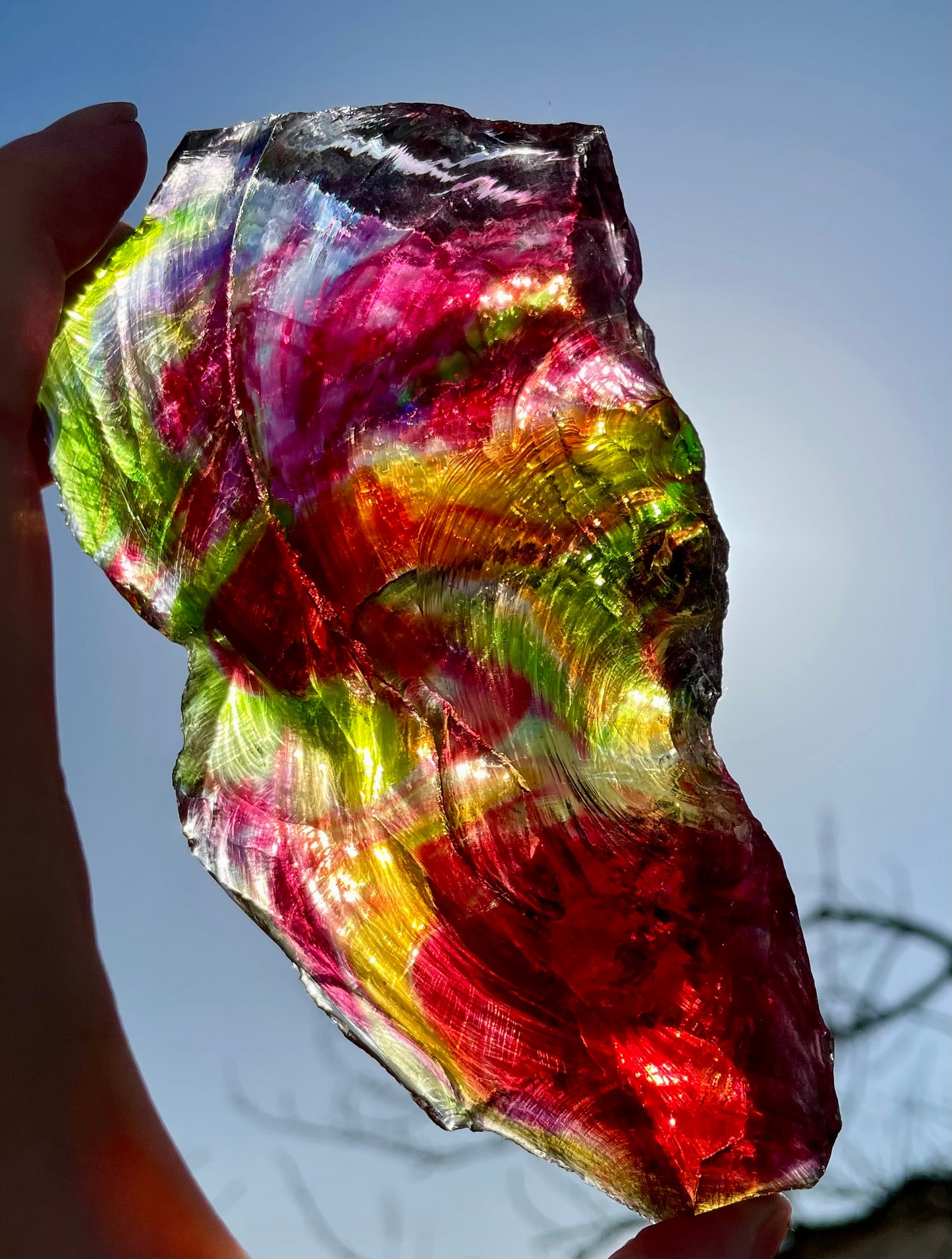 ANDARA Rainbow Warrior ~ 505 g | Collection personnelle